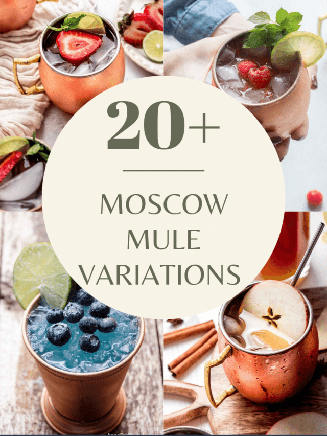 20+ BEST Moscow Mule Recipes