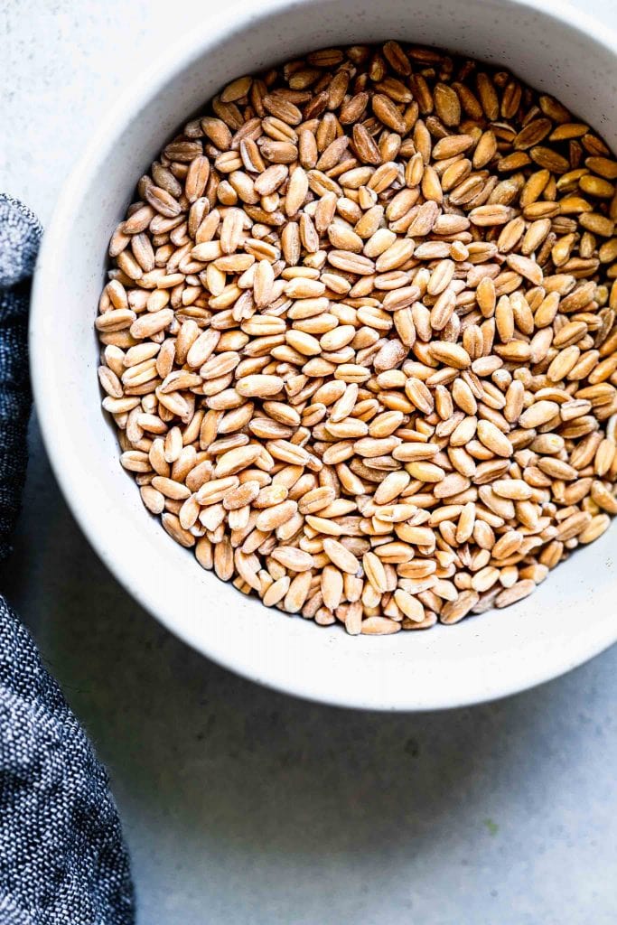 Bowl of uncooked farro on grey table.