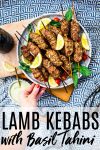 #lambkebabs #kebabs #kofta
