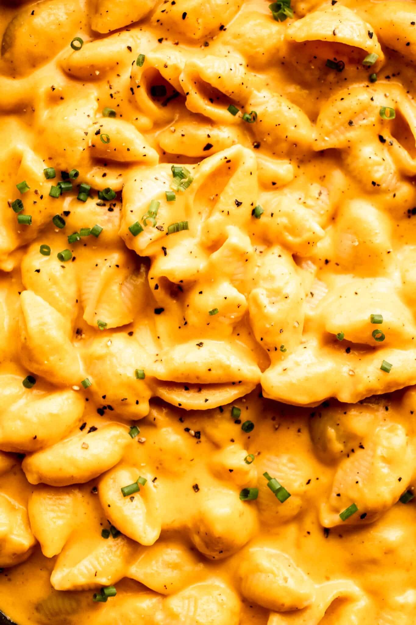 Close up of pasta shells topped with cheese sauce.