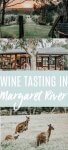 Margaret River, Australia has amazing wine, spectacular sunsets, the most amazing beaches and kangaroos. Read on to learn why this is one of our favorite spots in Australia.