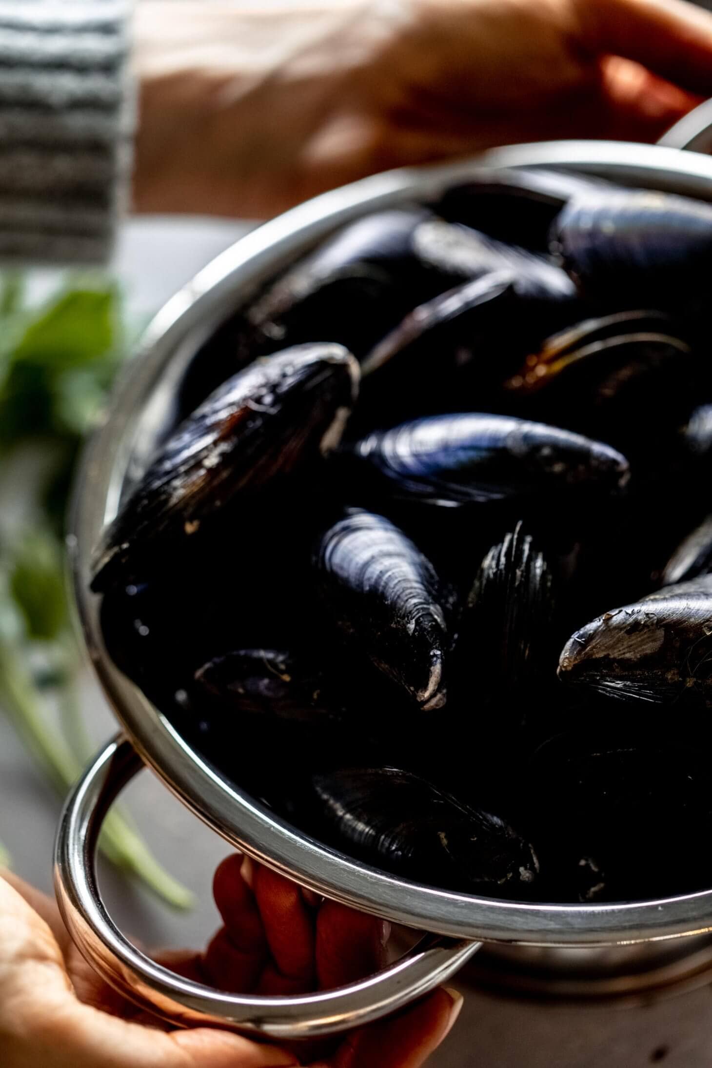 Mussels Marinara Recipe {Quick + Easy} Platings + Pairings