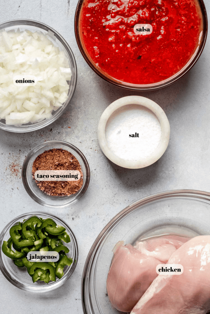 Ingredients for salsa chicken labeled on counter.