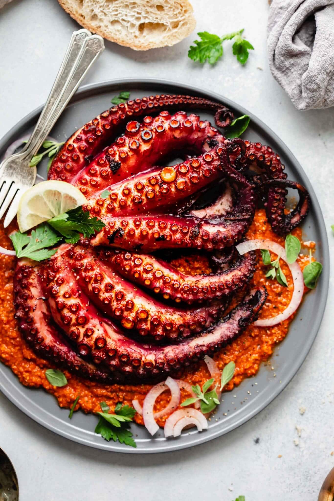 Seared sous vide octopus served on grey plate on a bed of romesco sauce.