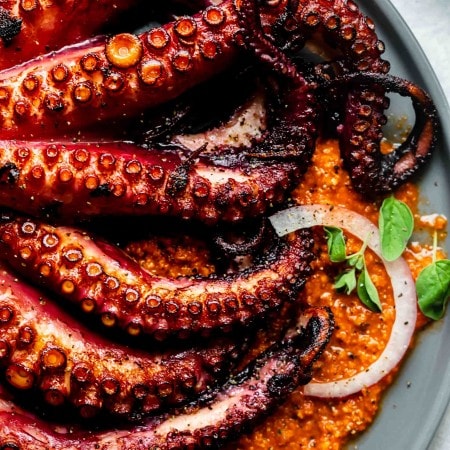 Seared sous vide octopus served on grey plate on a bed of romesco sauce.