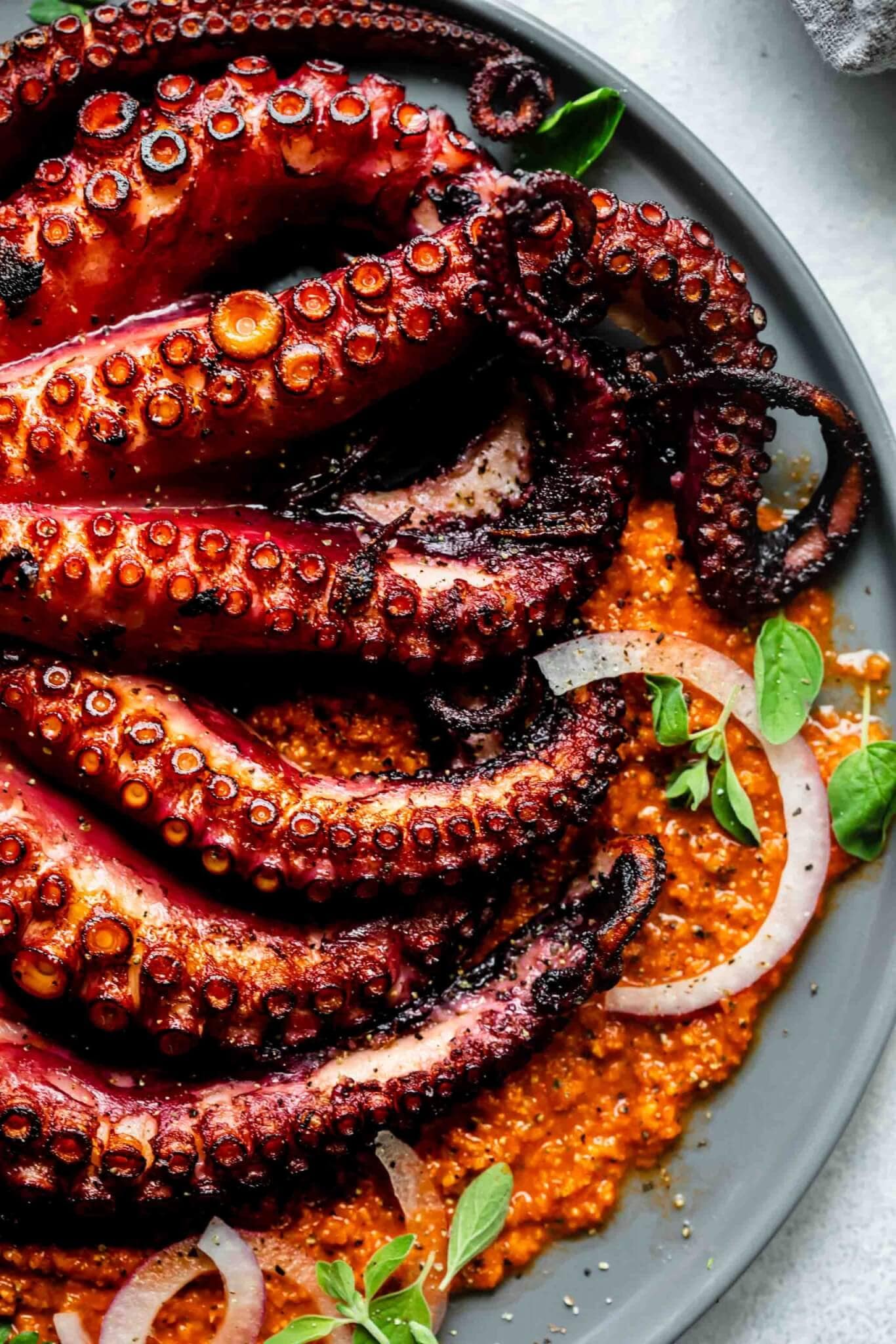 Seared sous vide octopus served on grey plate on a bed of romesco sauce.