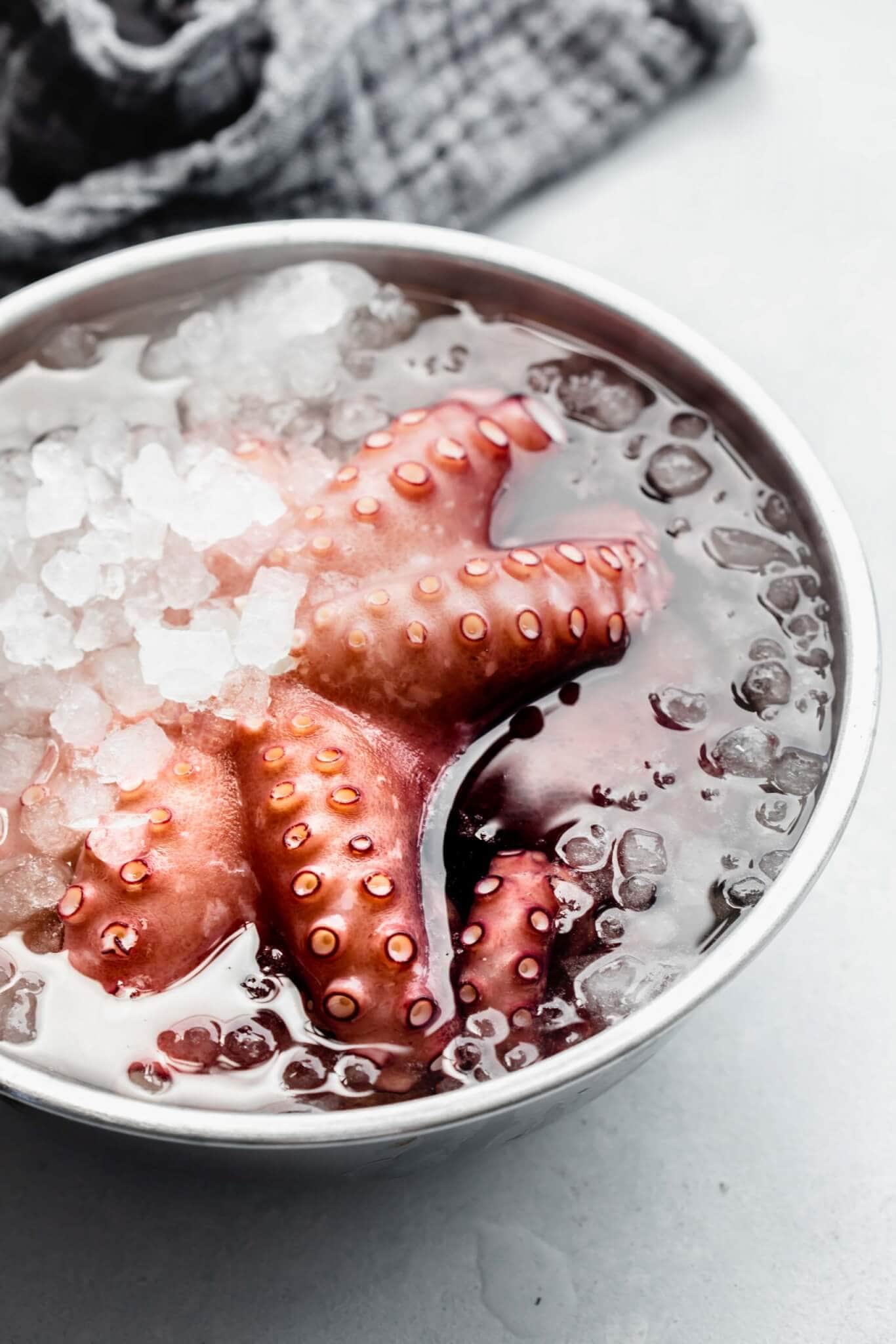 Octopus in ice water bath.