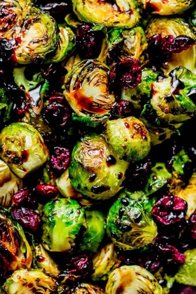 EXTREME CLOSE UP OF ROASTED BRUSSEL SPROUTS WITH BALSAMIC REDUCTION AND CRANBERRIES SPRINKLED ON TOP. 