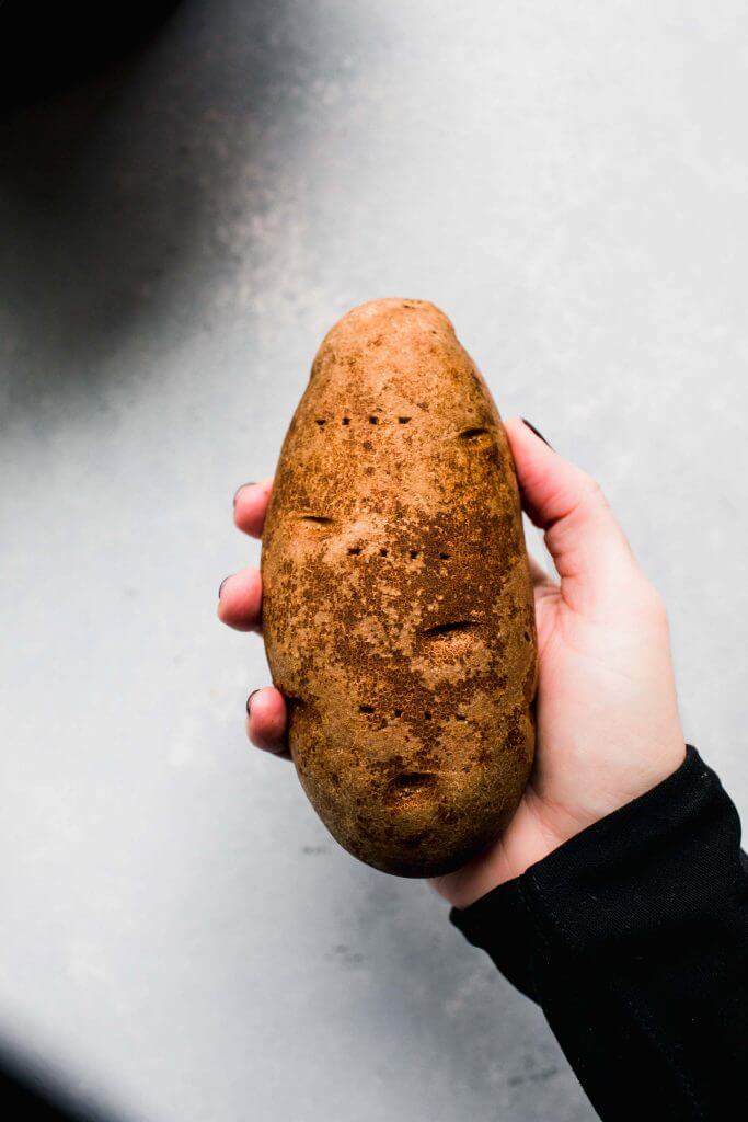 Hand holding large russet potato.