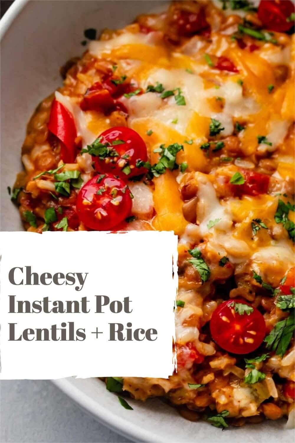 Cheesy Instant Pot Lentils & Rice + VIDEO Platings + Pairings