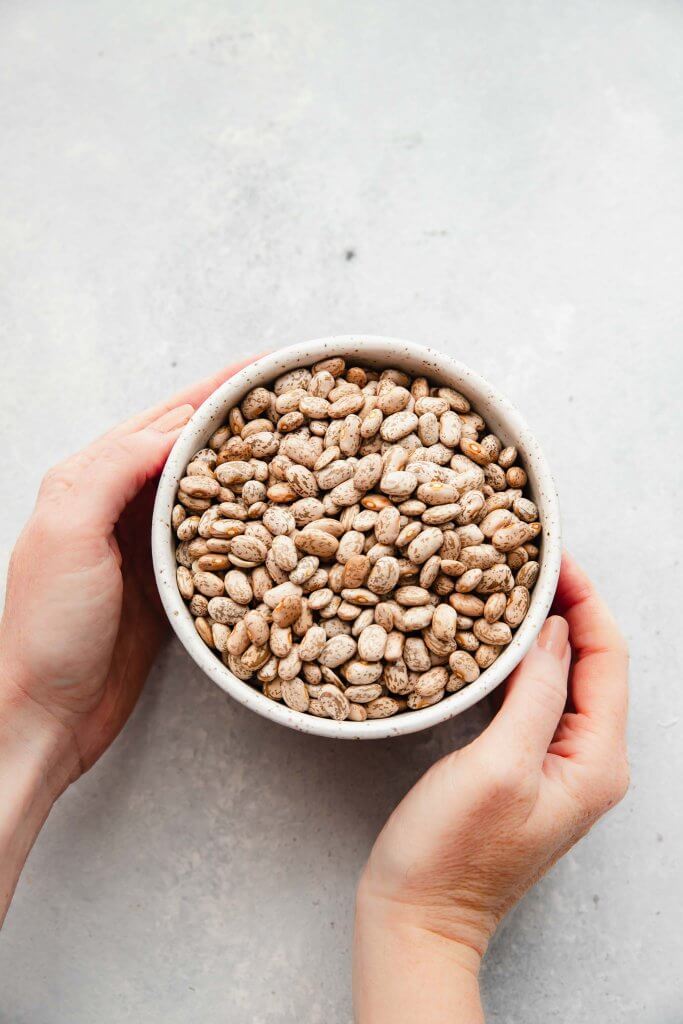 Hands holding bowl of dried pinto beans.