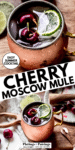 Cherry Mule Pin