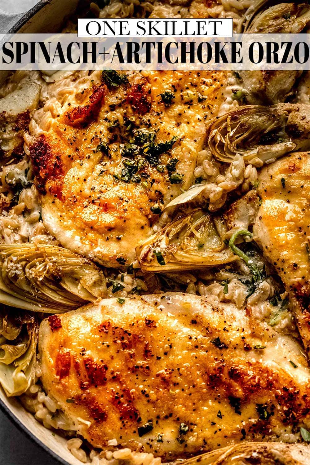 Spinach and Artichoke Orzo with Chicken Platings + Pairings