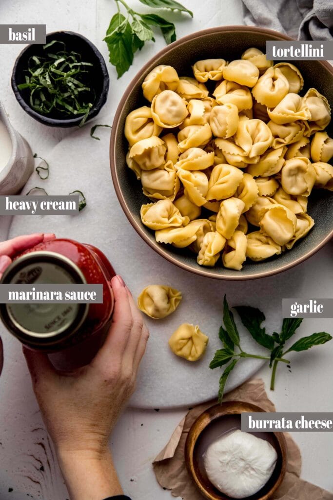 Ingredients for tortellini in cream sauce on counter. 