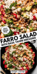 VEGAN FARRO SALAD PINTEREST IMAGE.