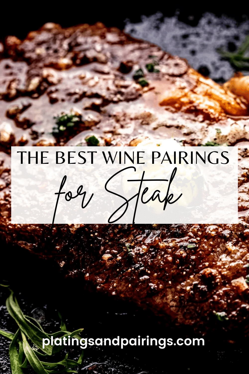 wine pairings for steak text on picture of cooked steak.