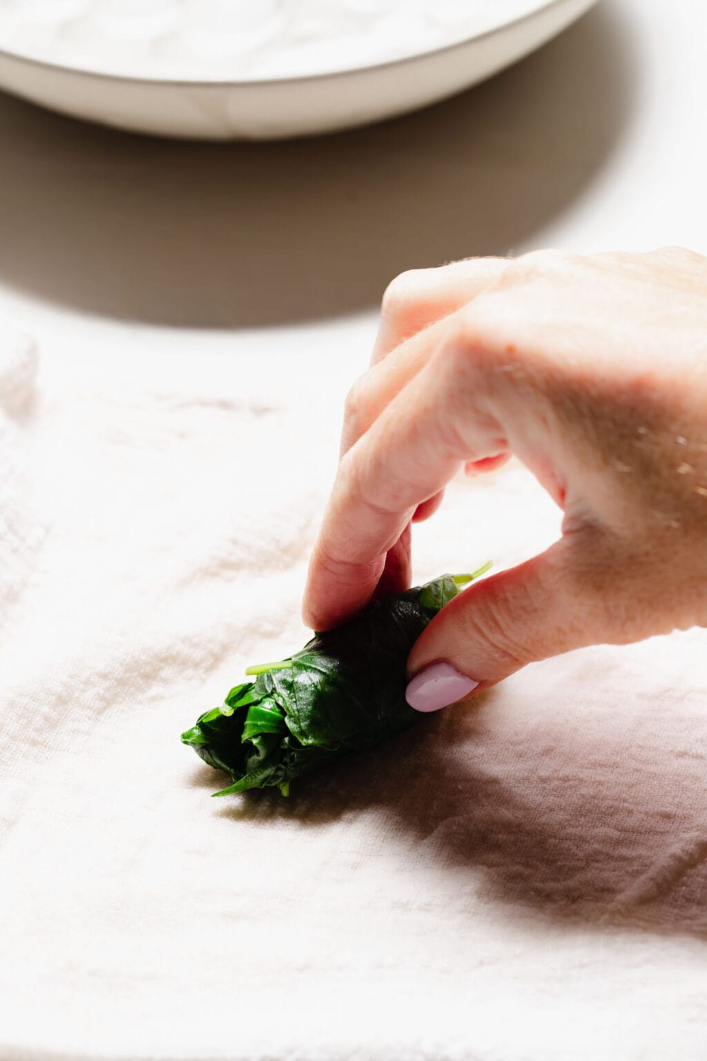 How to Freeze Basil Leaves (The EASY Way!) - Platings + Pairings
