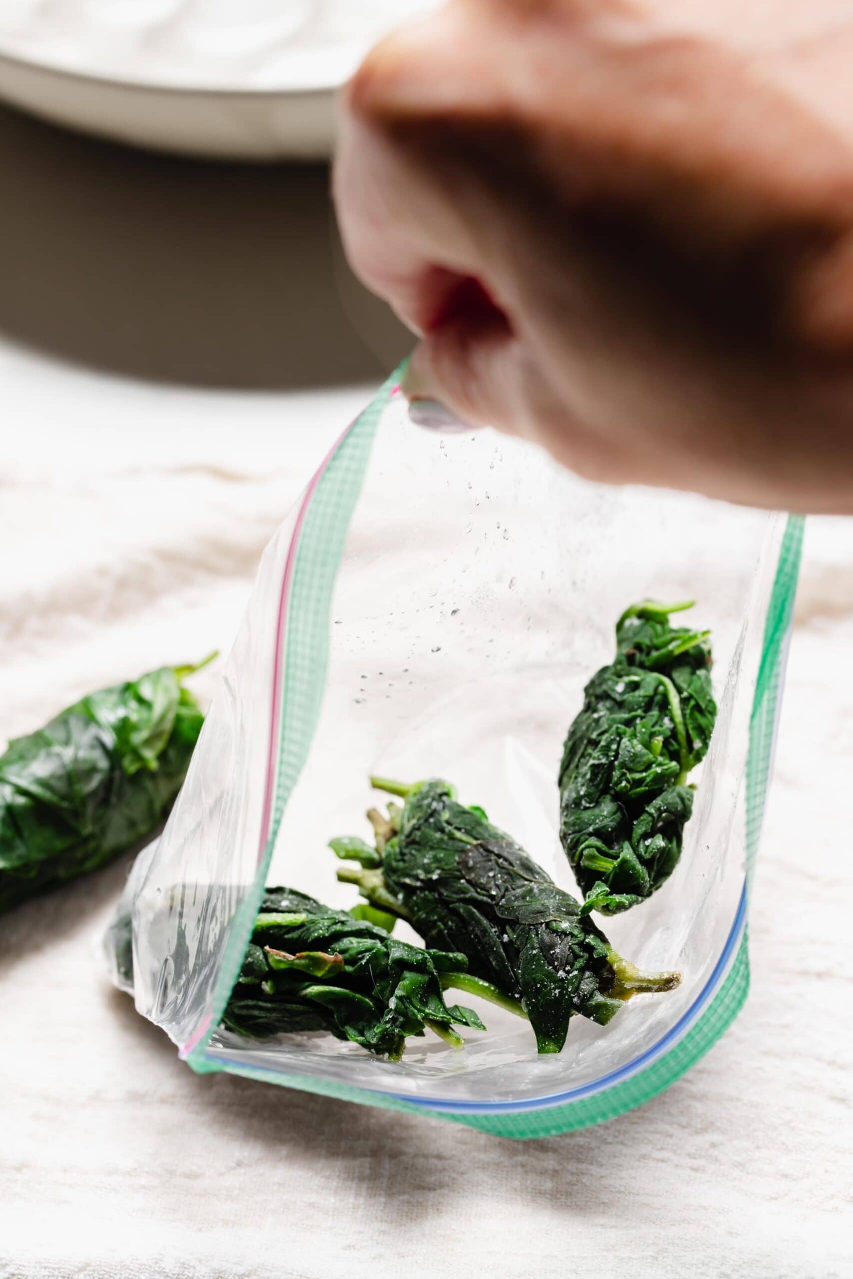 HAND PUTTING BASIL ROLLS INTO BAG