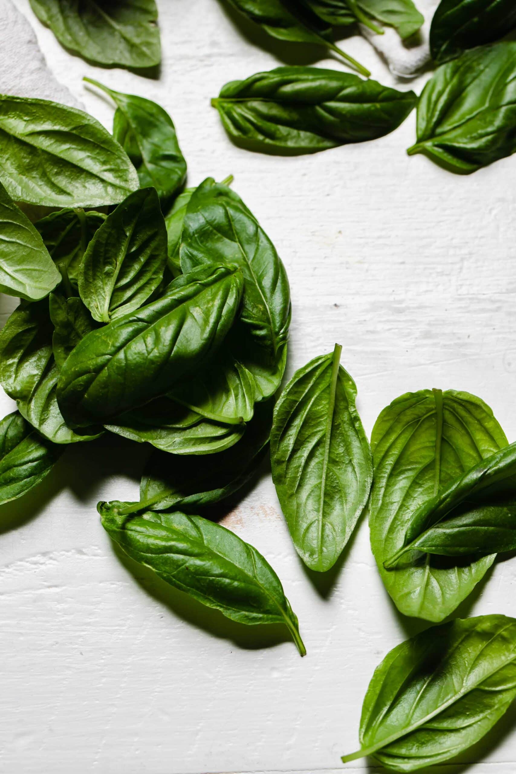 BASIL LEAVES ON COUNTER