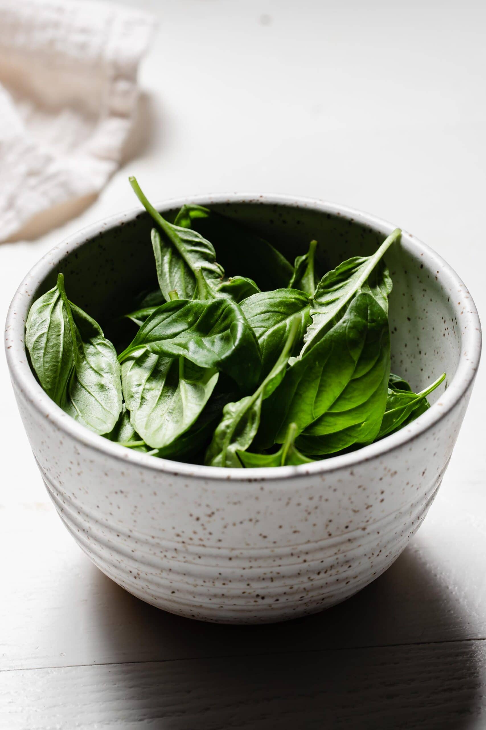 BASIL LEAVES IN BOWL