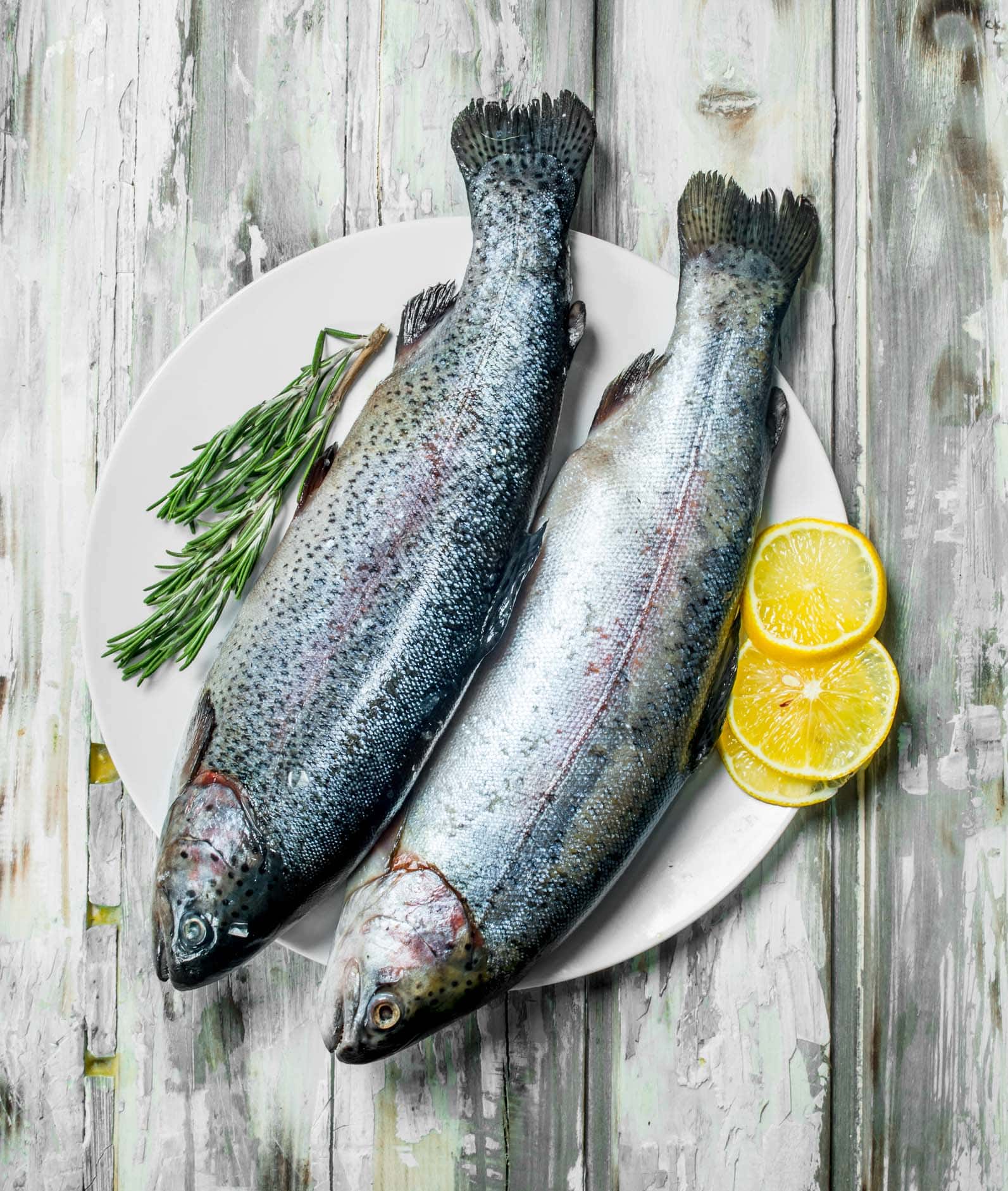 Trout vs. Salmon The Key Differences Platings + Pairings