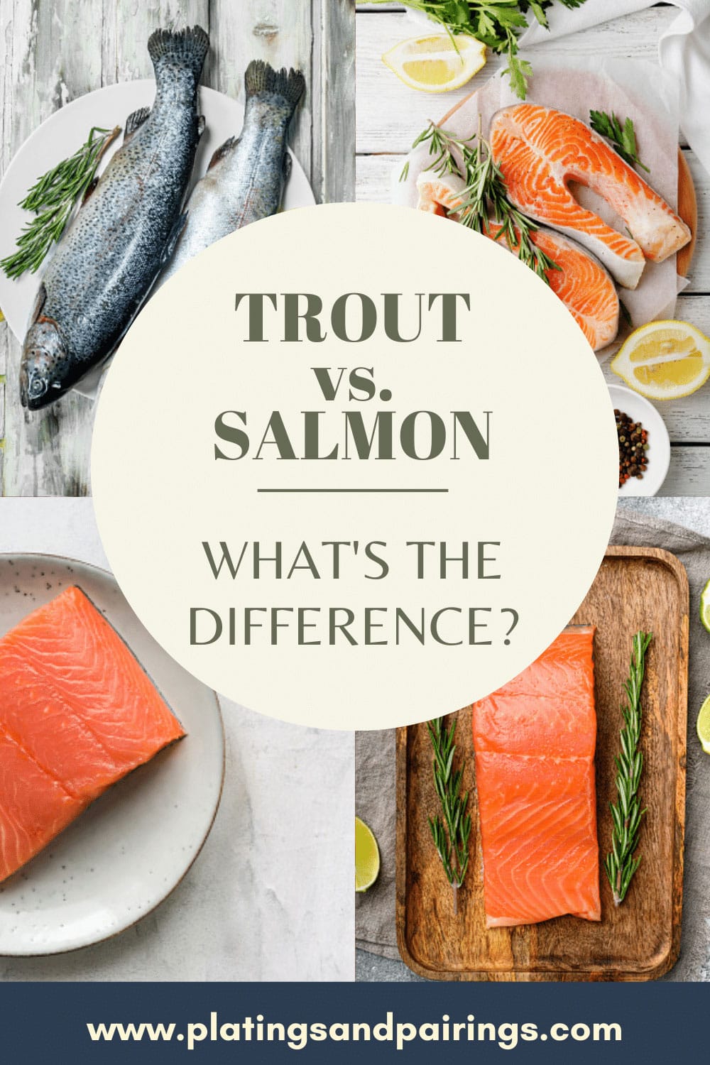 Trout vs. Salmon The Key Differences Platings + Pairings