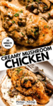 CREAMY MUSHROOM CHICKEN PINTEREST IMAGE.