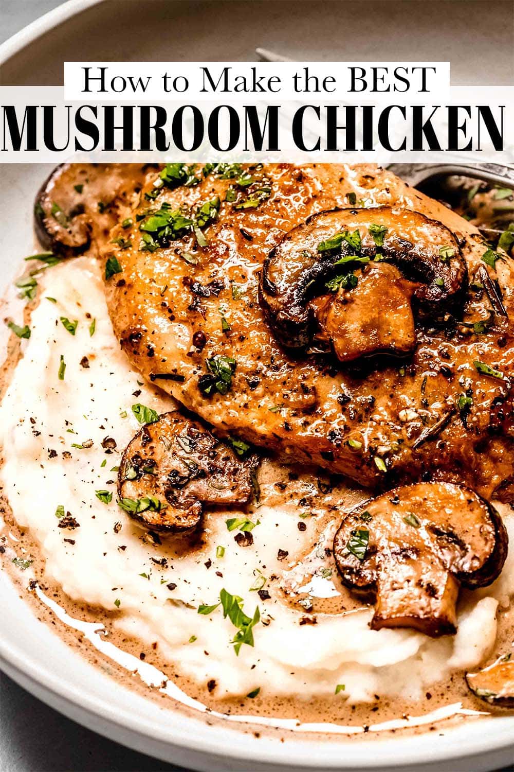 Creamy Mushroom Chicken in 30 Minutes Platings Pairings Creamy mushroom chicken in 30 minutes platings pairings