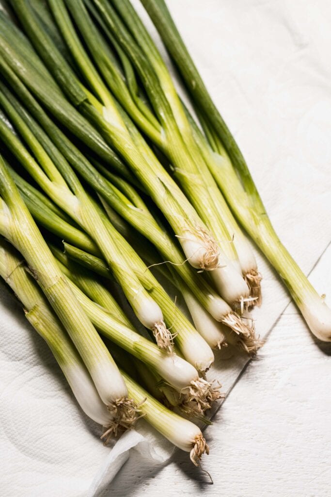 Green onions laid out on paper towel. 