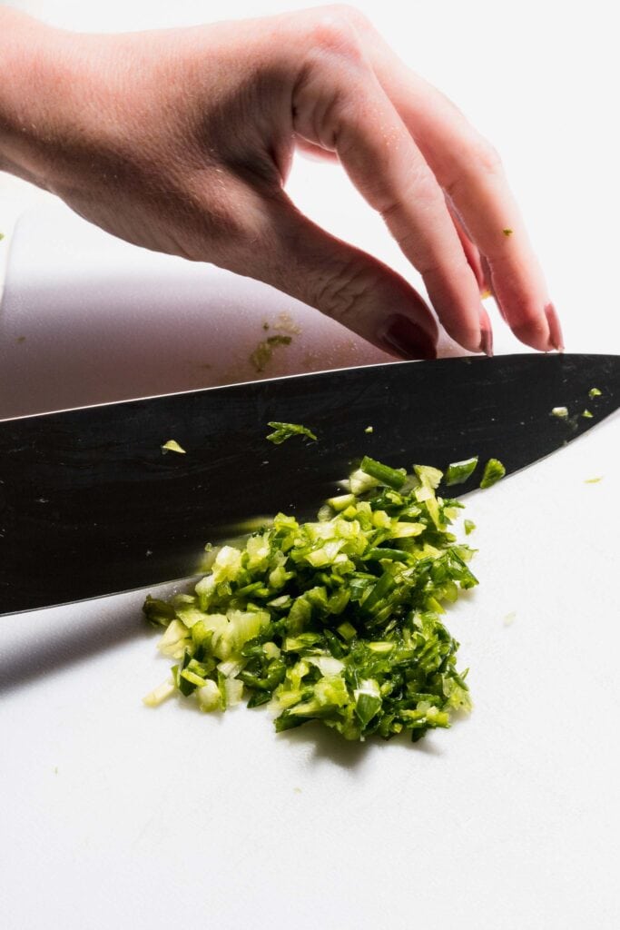 How to Cut Green Onions (4 Easy Ways!) Platings + Pairings
