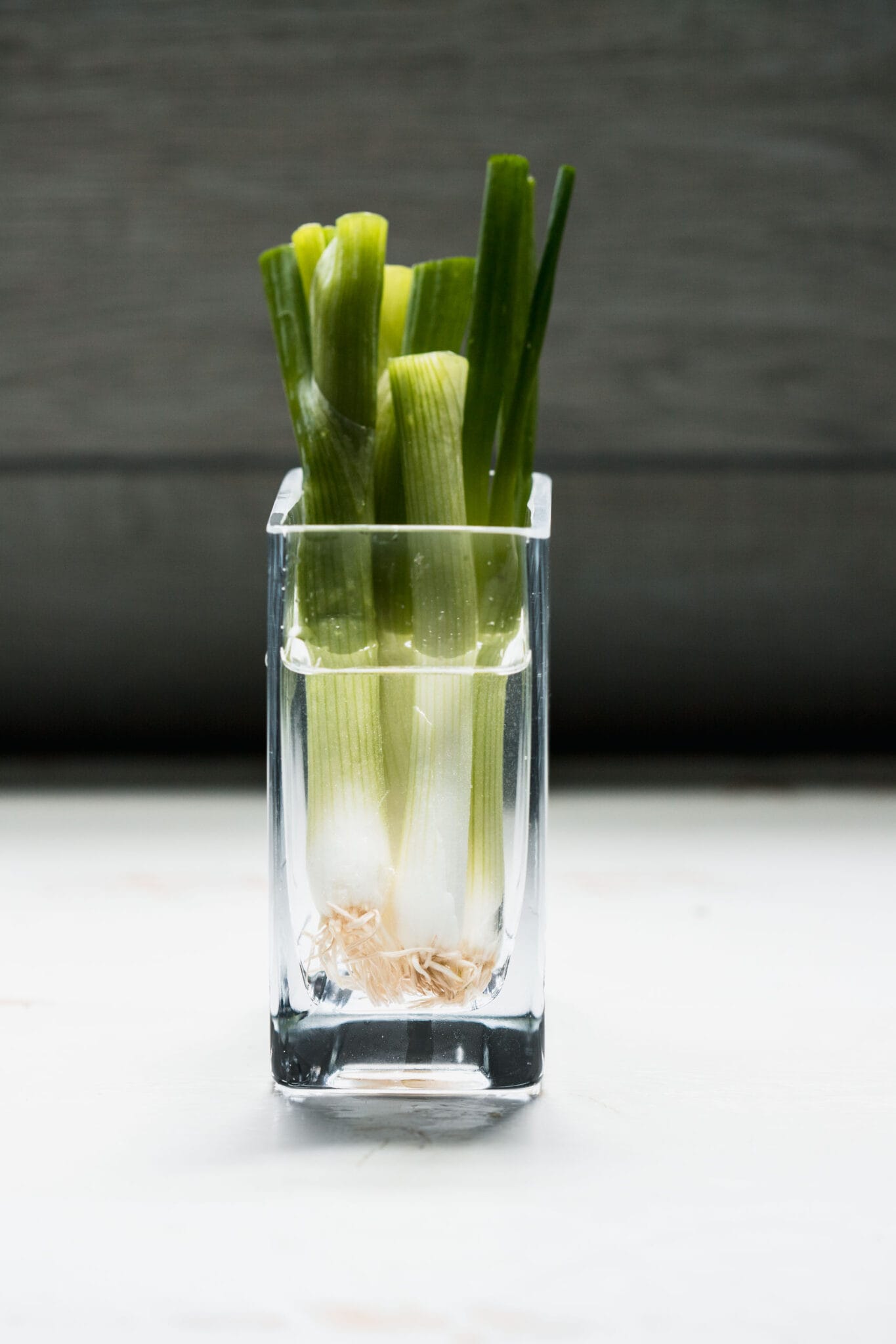 How to Cut Green Onions (4 Easy Ways!) Platings + Pairings
