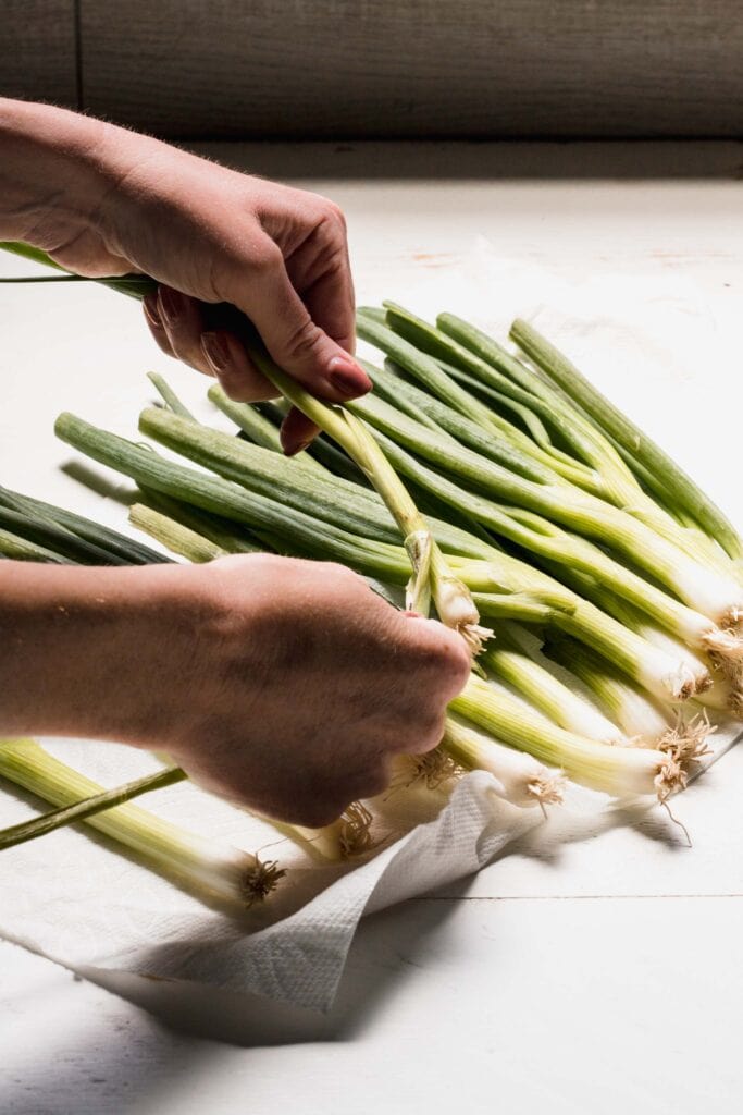 How to Cut Green Onions (4 Easy Ways!) Platings + Pairings