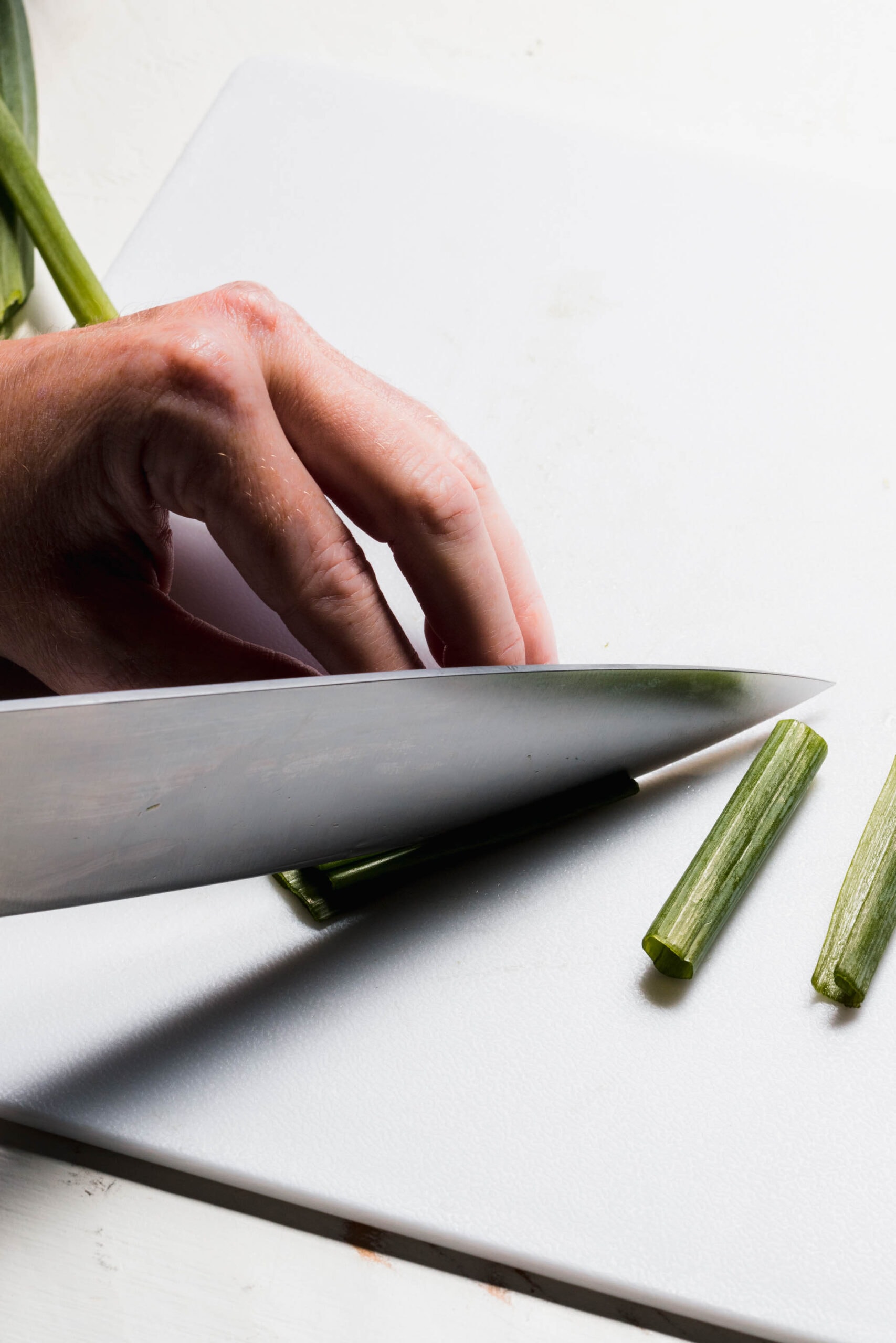 Large slices of scallions. 