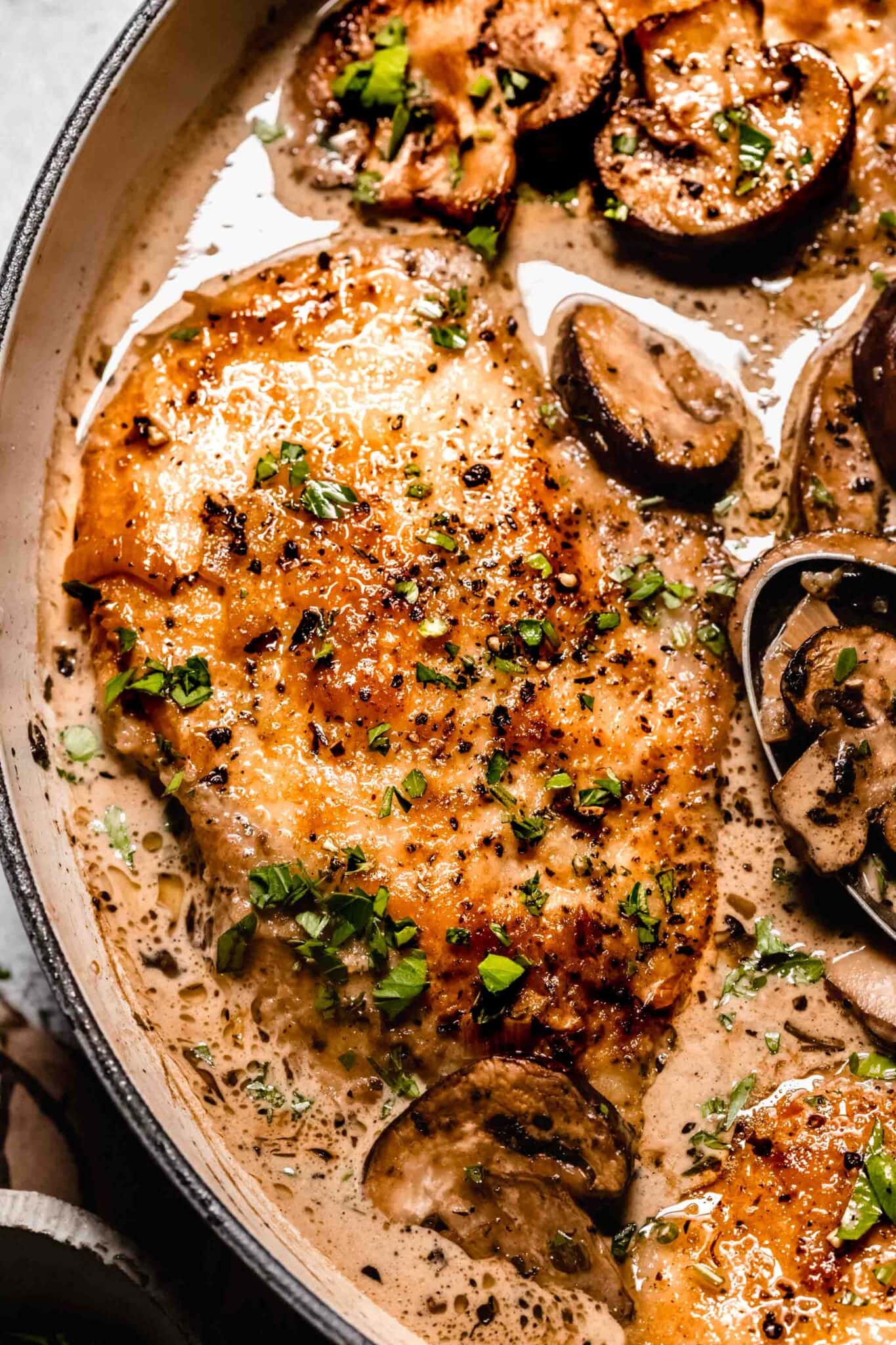 Creamy Mushroom Chicken (Easy 30Minute Recipe) Platings + Pairings