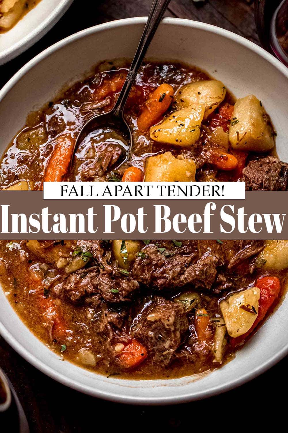 EASY Instant Pot Beef Stew Recipe with Red Wine