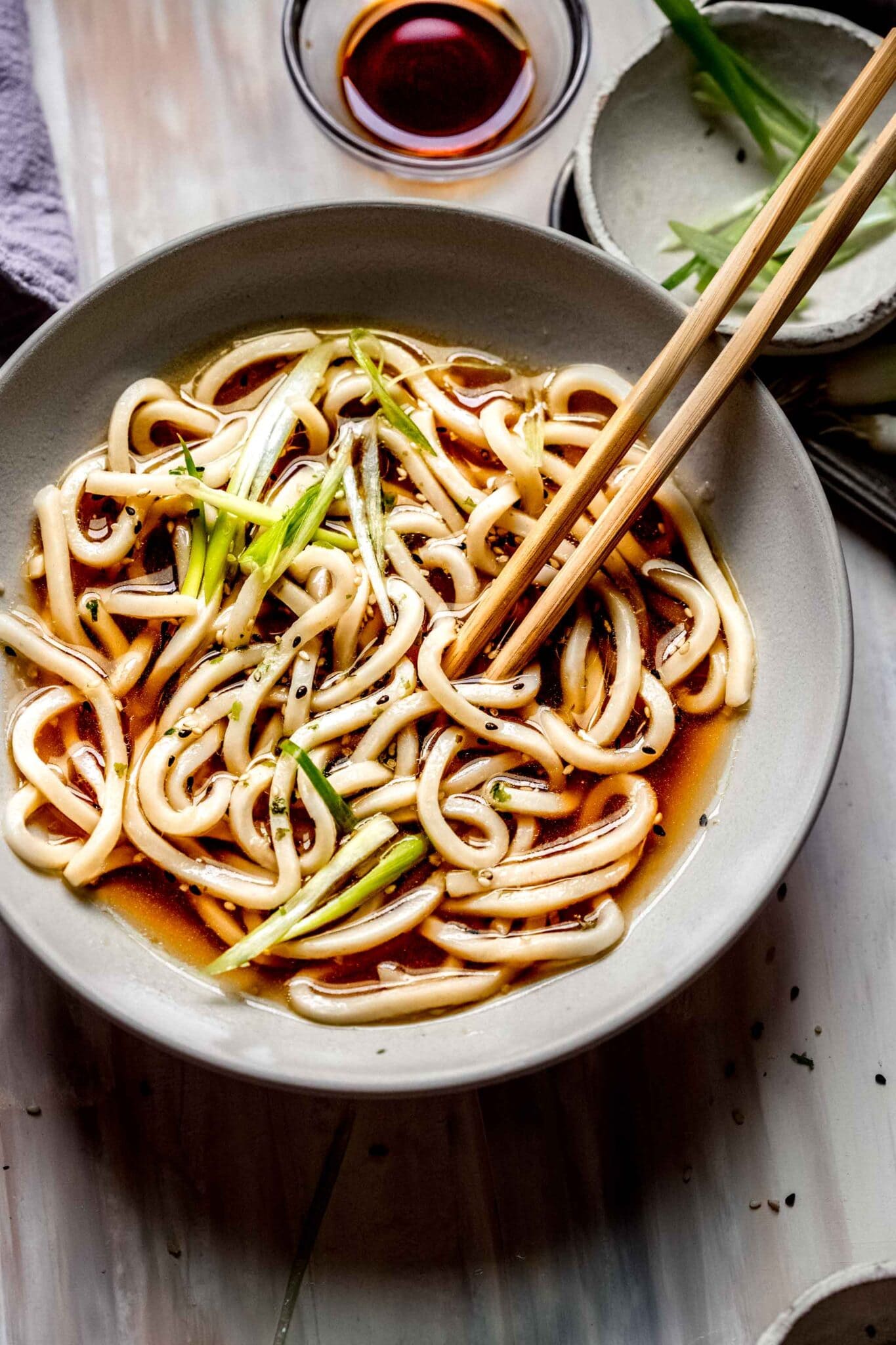 Udon Soup Recipe (Easy 5Minute Udon Noodle Soup) Platings + Pairings