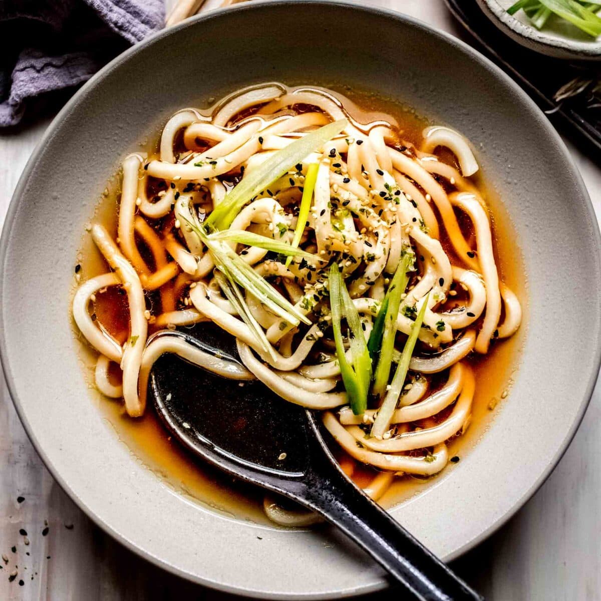 Udon Soup Recipe (Easy 5Minute Udon Noodle Soup) Platings + Pairings