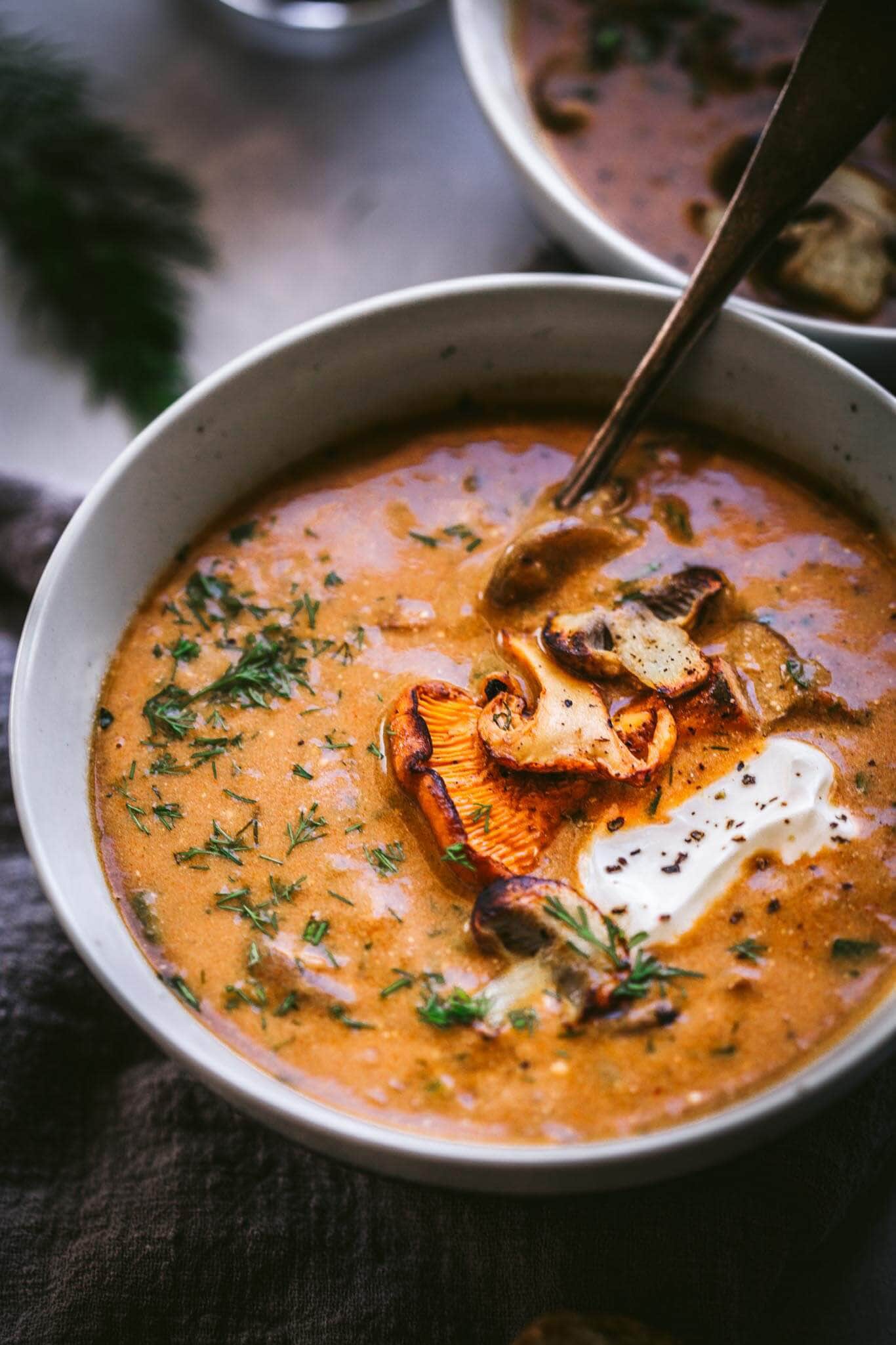 Side view of bowl of creamy hungarian mushroom soup topped with dollop of sour cream and fresh dill.