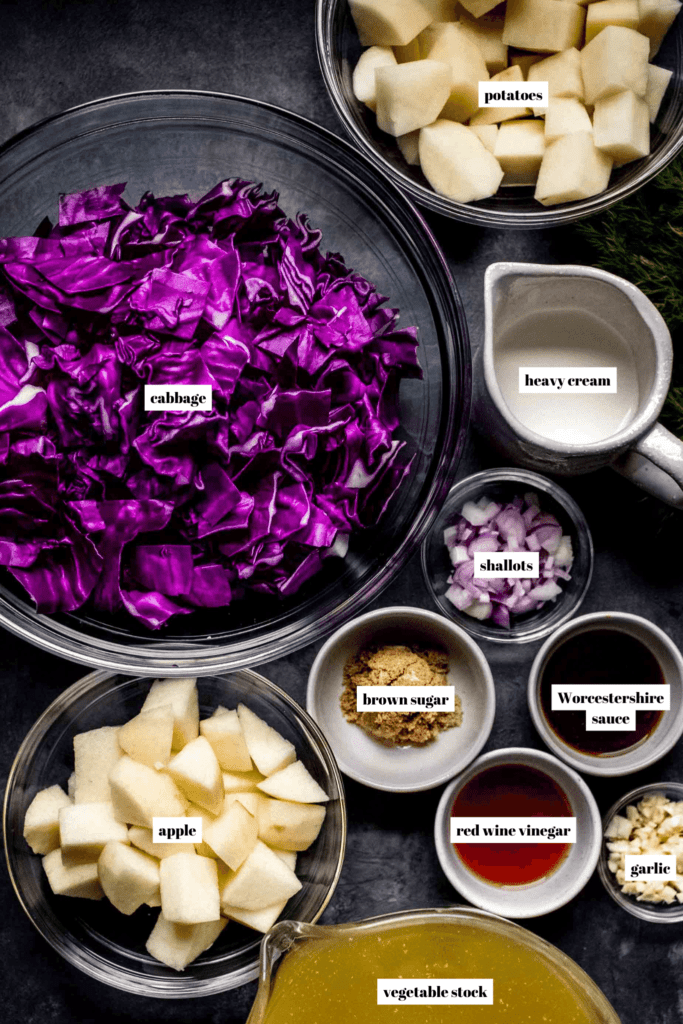 Ingredients for red cabbage soup labeled on tray. 