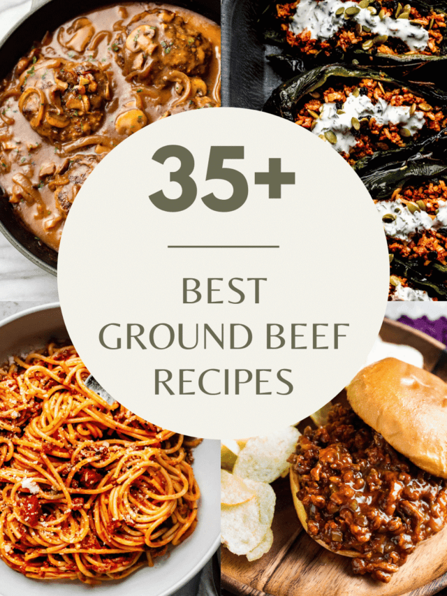 The BEST Ground Beef Recipes - Platings + Pairings
