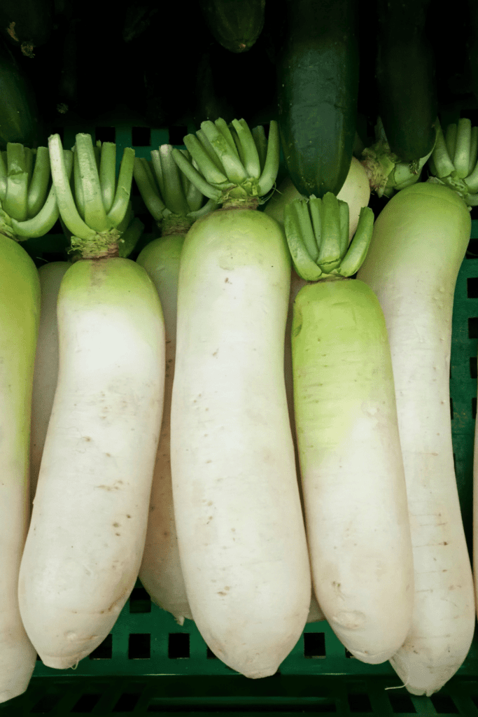 White Daikon radishes in pile.