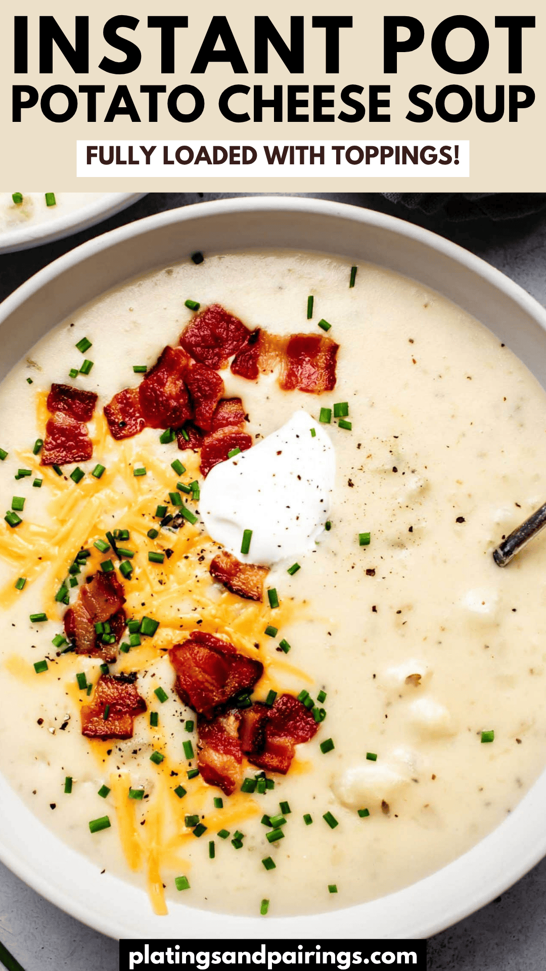 Easy Instant Pot Cheesy Potato Soup (Loaded with Toppings!)