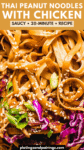 Peanut Noodles with Chicken Recipe