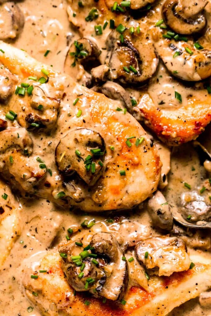 Creamy mushroom sauce coating chicken breasts. 