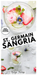 ST. GERMAIN SANGRIA PIN.