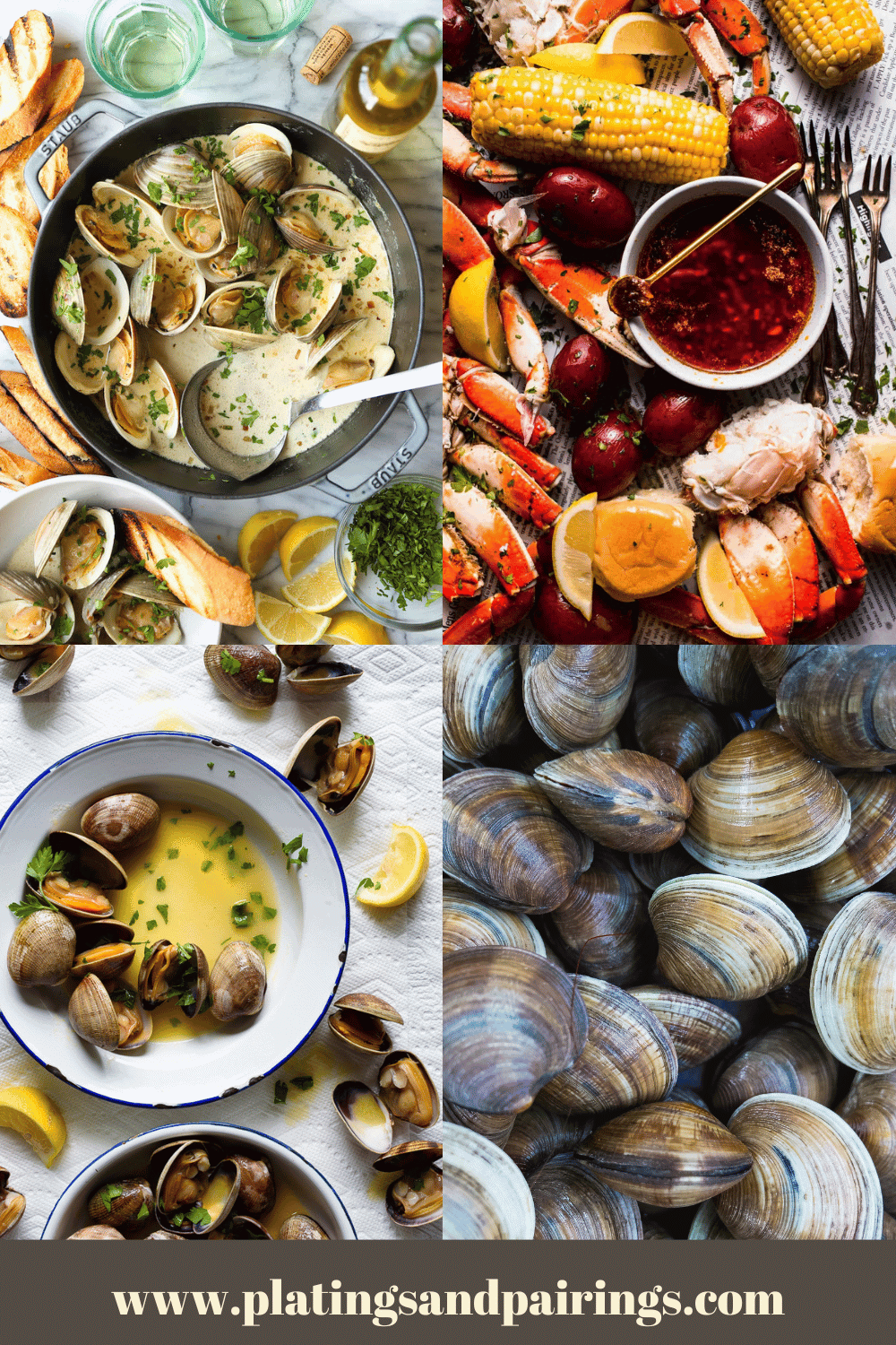 15+ Sauces for Clams (Easy Clam Sauce Recipes)