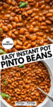 Instant Pot Pinto Beans pinterest image.