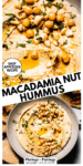 Mac nut hummus recipe pin.