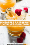 Pineapple raspberry vodka cocktail recipe.