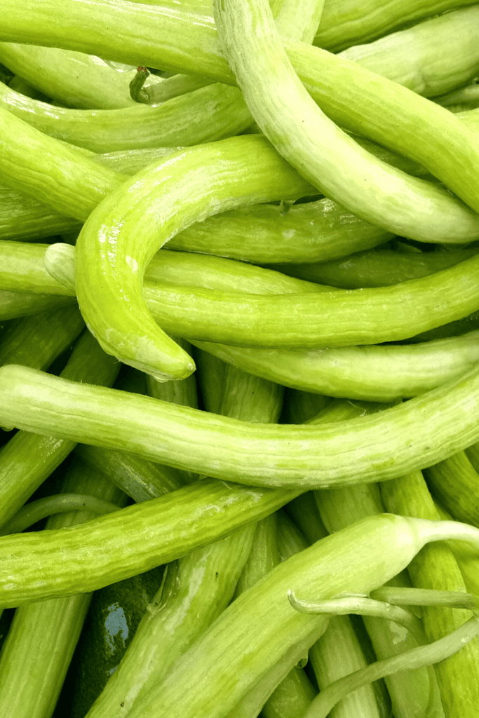 Armenian cucumbers in pile.